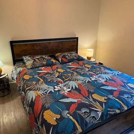 Residence Bois Du Bouchet, Appartement Vue Montagne, Calme, Parking Gratuit, Proche Centre Chamonix Mont Blanc Exterior foto
