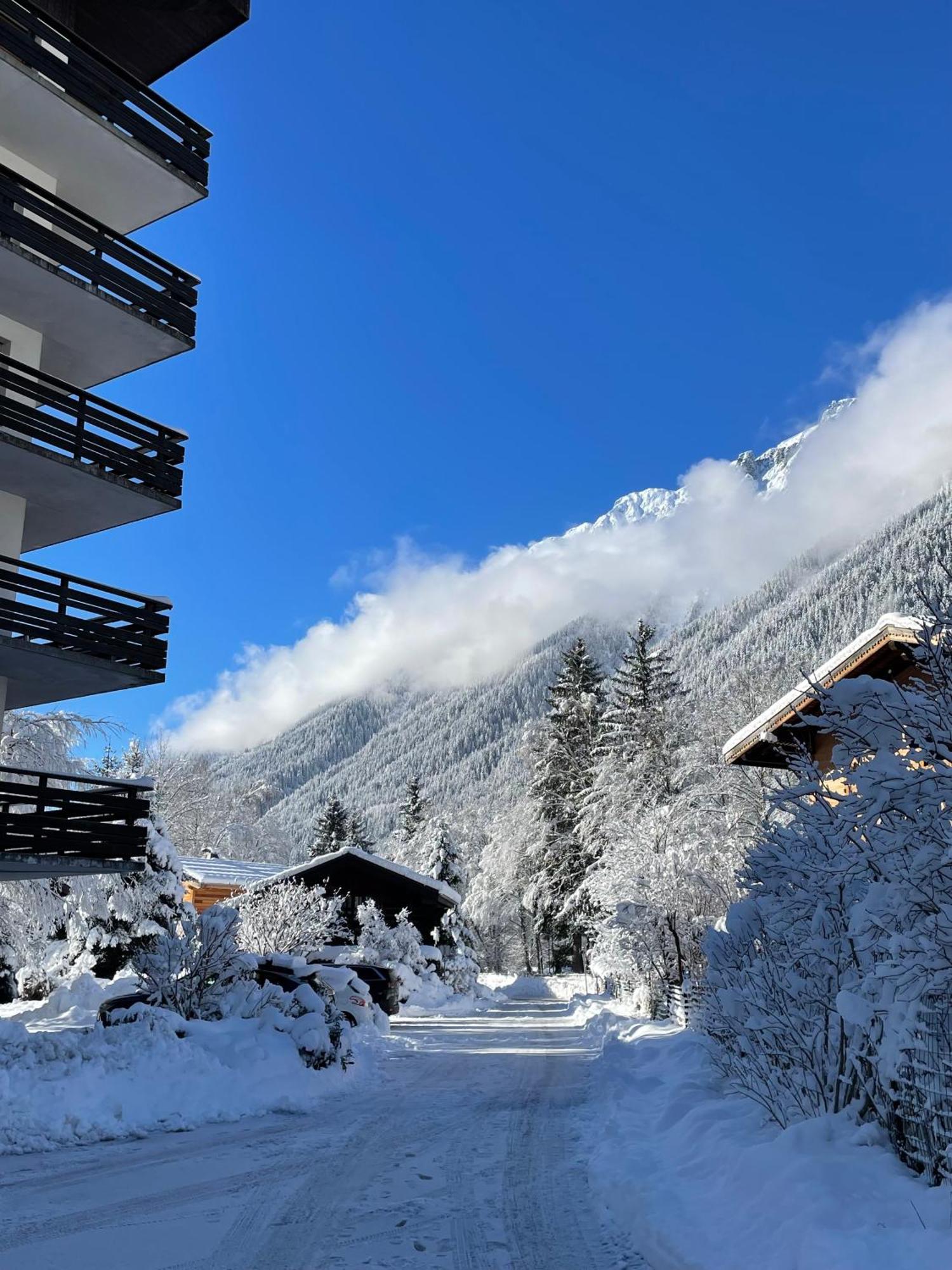 Residence Bois Du Bouchet, Appartement Vue Montagne, Calme, Parking Gratuit, Proche Centre Chamonix Mont Blanc Exterior foto