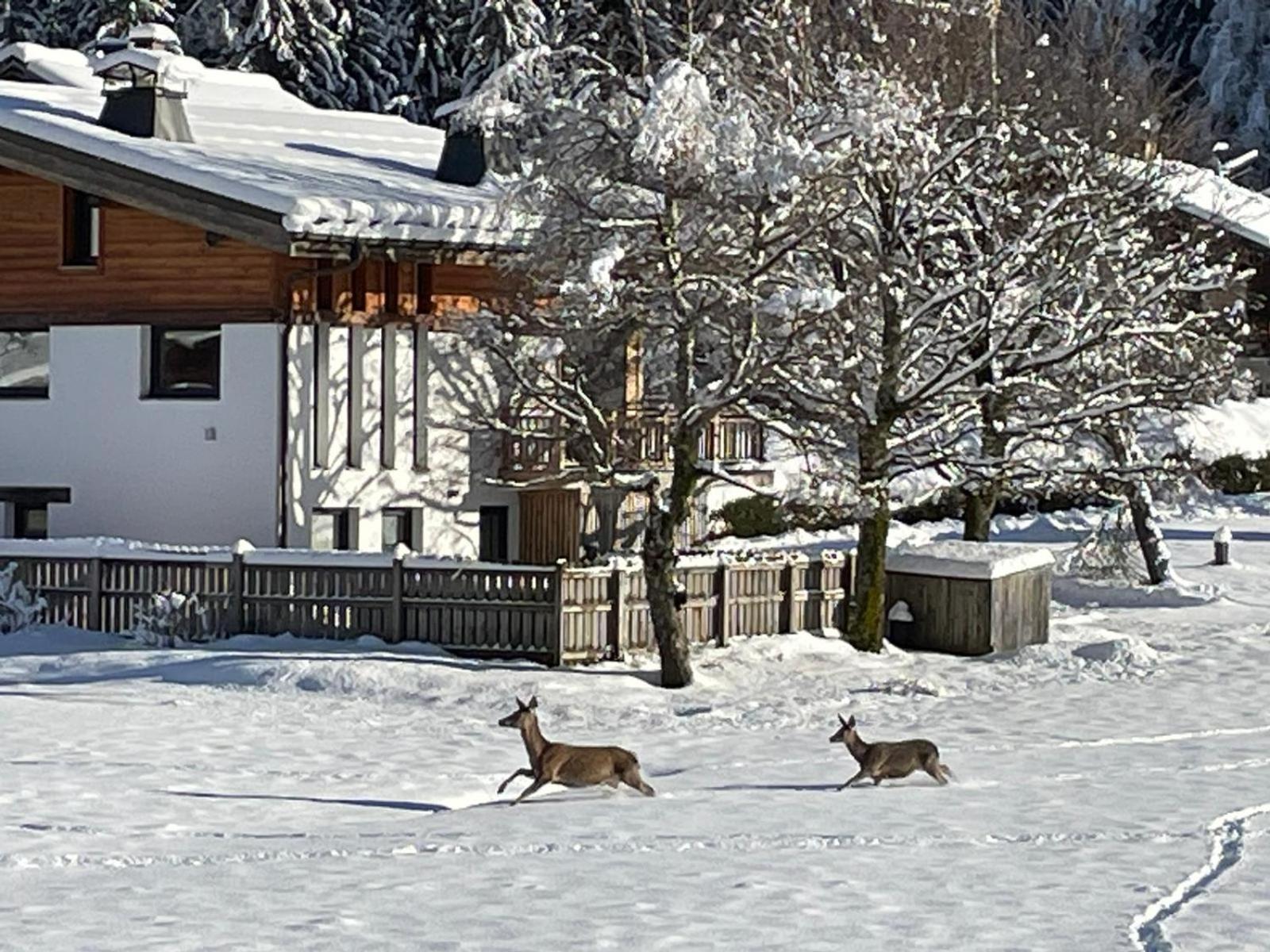 Residence Bois Du Bouchet, Appartement Vue Montagne, Calme, Parking Gratuit, Proche Centre Chamonix Mont Blanc Exterior foto