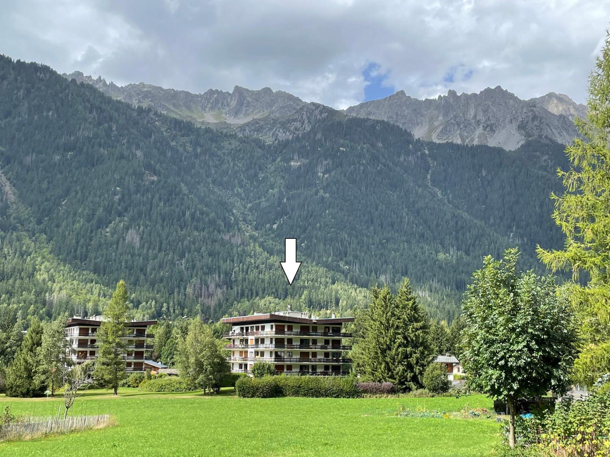 Residence Bois Du Bouchet, Appartement Vue Montagne, Calme, Parking Gratuit, Proche Centre Chamonix Mont Blanc Exterior foto