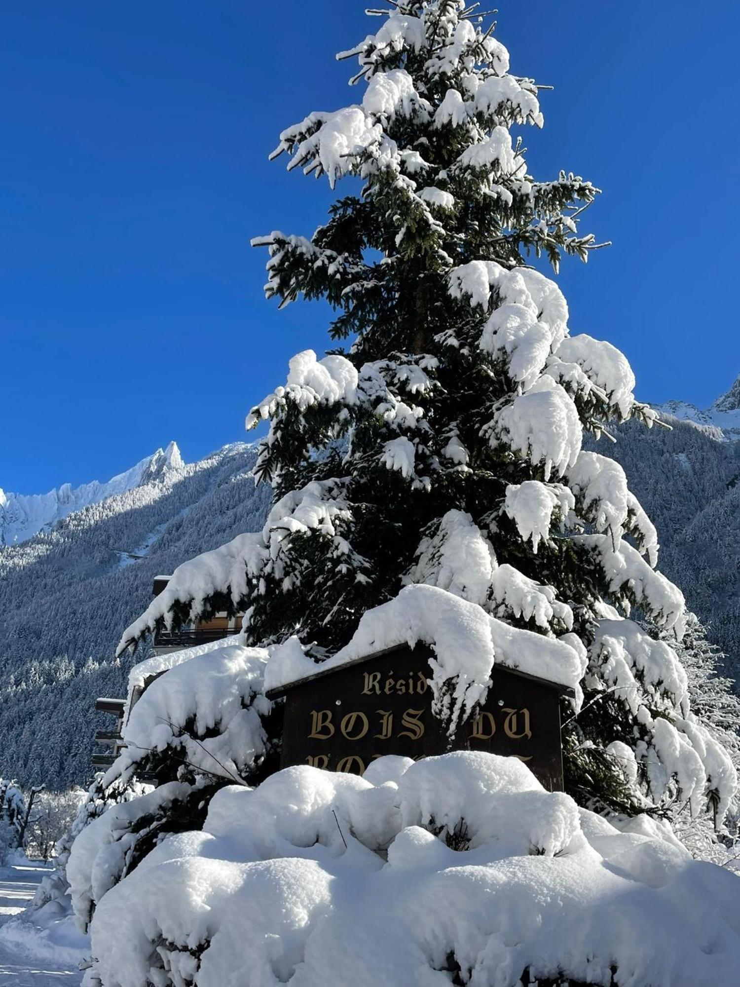Residence Bois Du Bouchet, Appartement Vue Montagne, Calme, Parking Gratuit, Proche Centre Chamonix Mont Blanc Exterior foto